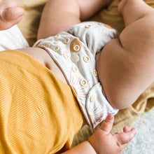 Load image into Gallery viewer, Bare Love Nightproof - Sun Gazer