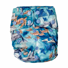 Load image into Gallery viewer, Bare Love Basics - Oceania
